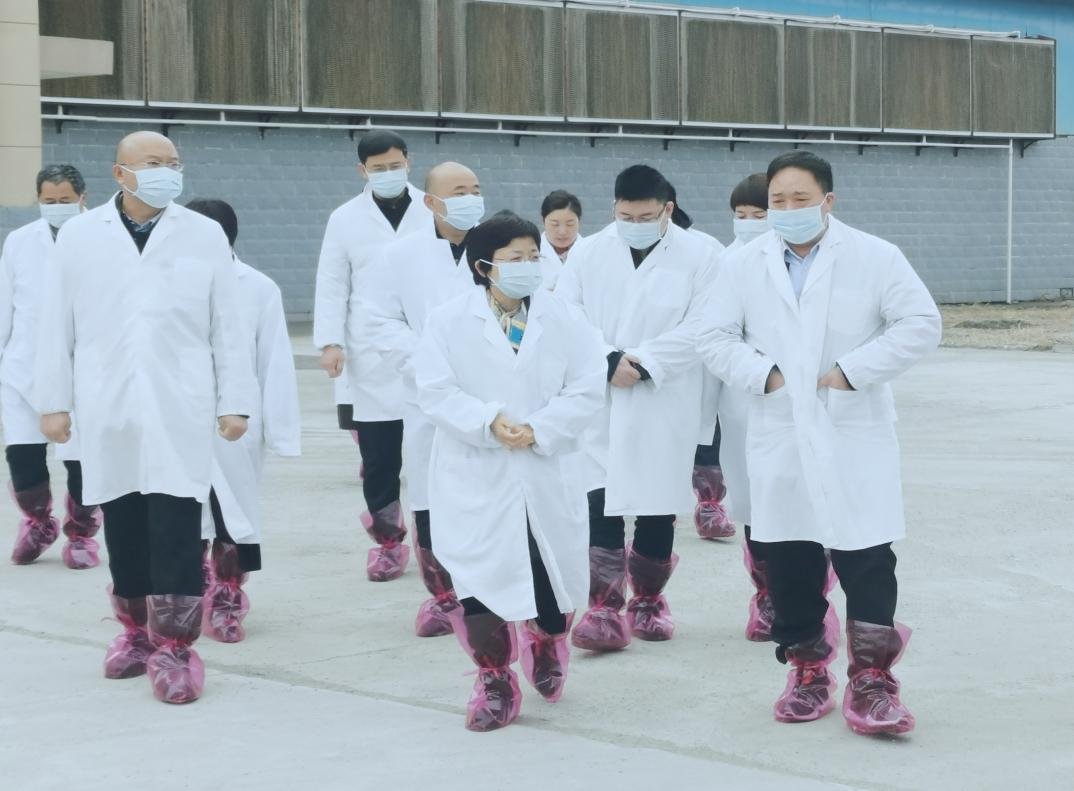 河南省鄭州市人民政府副市長李鳳芝一行蒞臨花花牛河南瑞亞參觀調(diào)研