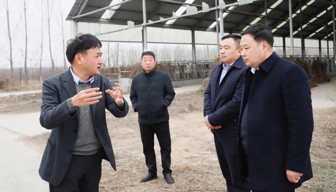 發(fā)揮產(chǎn)業(yè)優(yōu)勢 助力鄉(xiāng)村振興 | 民權(quán)縣委副書記、縣長王靜嫻會見關(guān)曉彥董事長一行