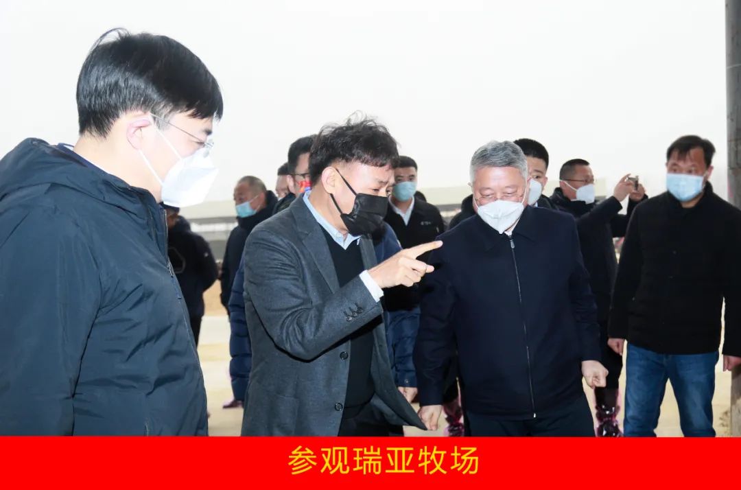 新年開新局 合作促發(fā)展丨佳木斯市委常委、副市長閆志剛一行蒞臨花花牛乳業(yè)集團(tuán)及佳田企業(yè)考察座談