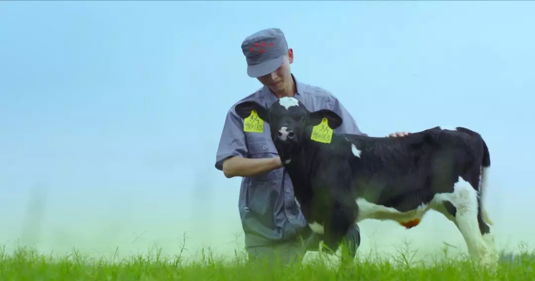 河南省人大常委會黨組書記、副主任孔昌生蒞臨花花牛魯山瑞亞牧場參觀調(diào)研