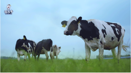 河南省高級(jí)人民法院院長(zhǎng)胡道才一行蒞臨花花牛乳業(yè)集團(tuán)開(kāi)展“萬(wàn)人助萬(wàn)企”活動(dòng) 助力企業(yè)發(fā)展