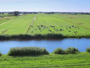 春風(fēng)吹 戰(zhàn)鼓擂——不負春天好時光