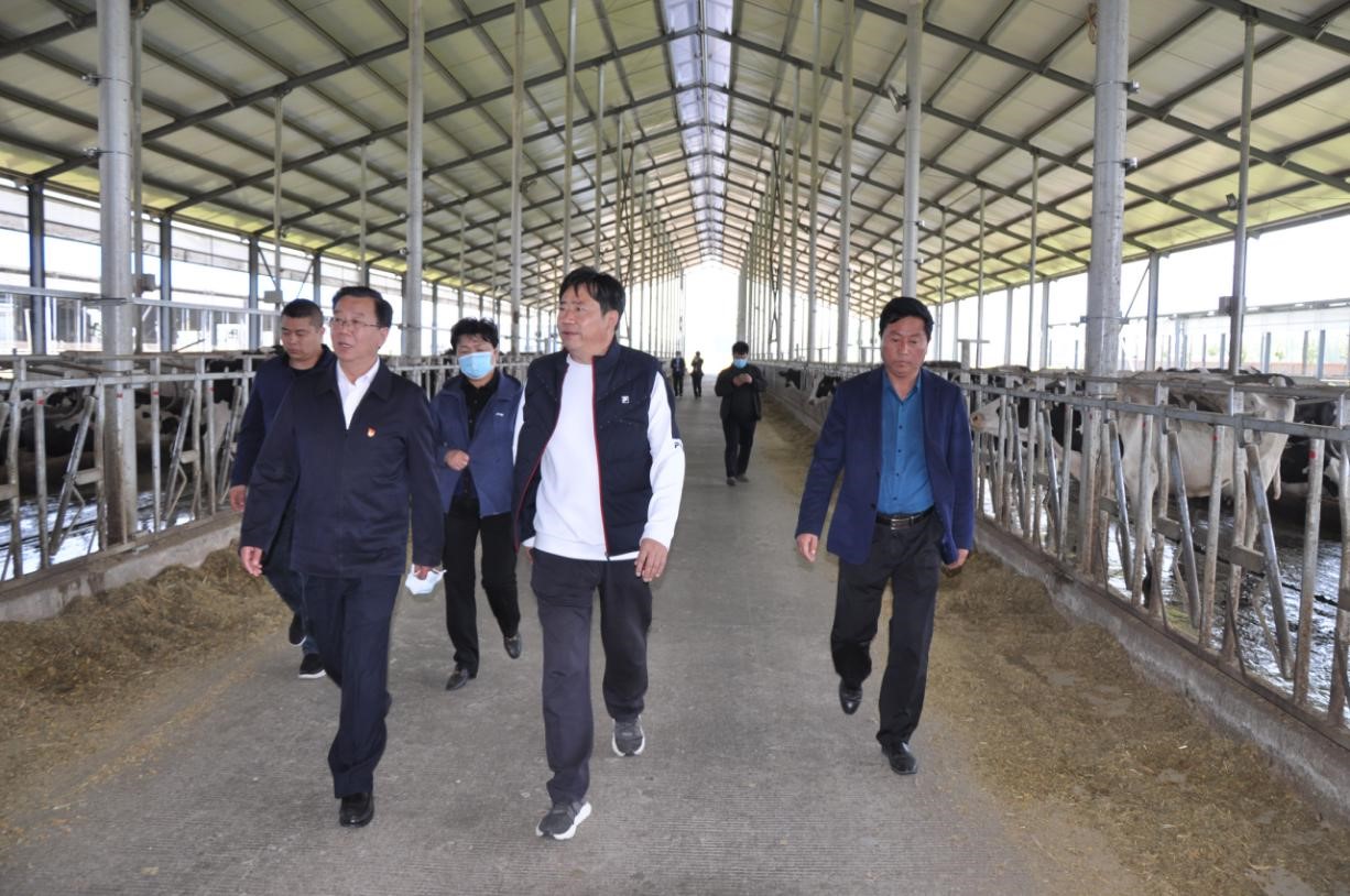 商丘市委常委、宣傳部部長(zhǎng)王全周一行蒞臨睢縣瑞亞牧業(yè)有限公司調(diào)研