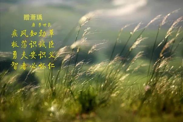 花花牛 | 疾風(fēng)來(lái)臨，你是不是勁草？