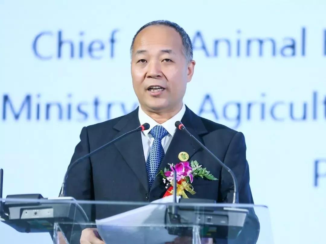 SDDDC走進(jìn)河南，看看花花牛的國(guó)際范兒！