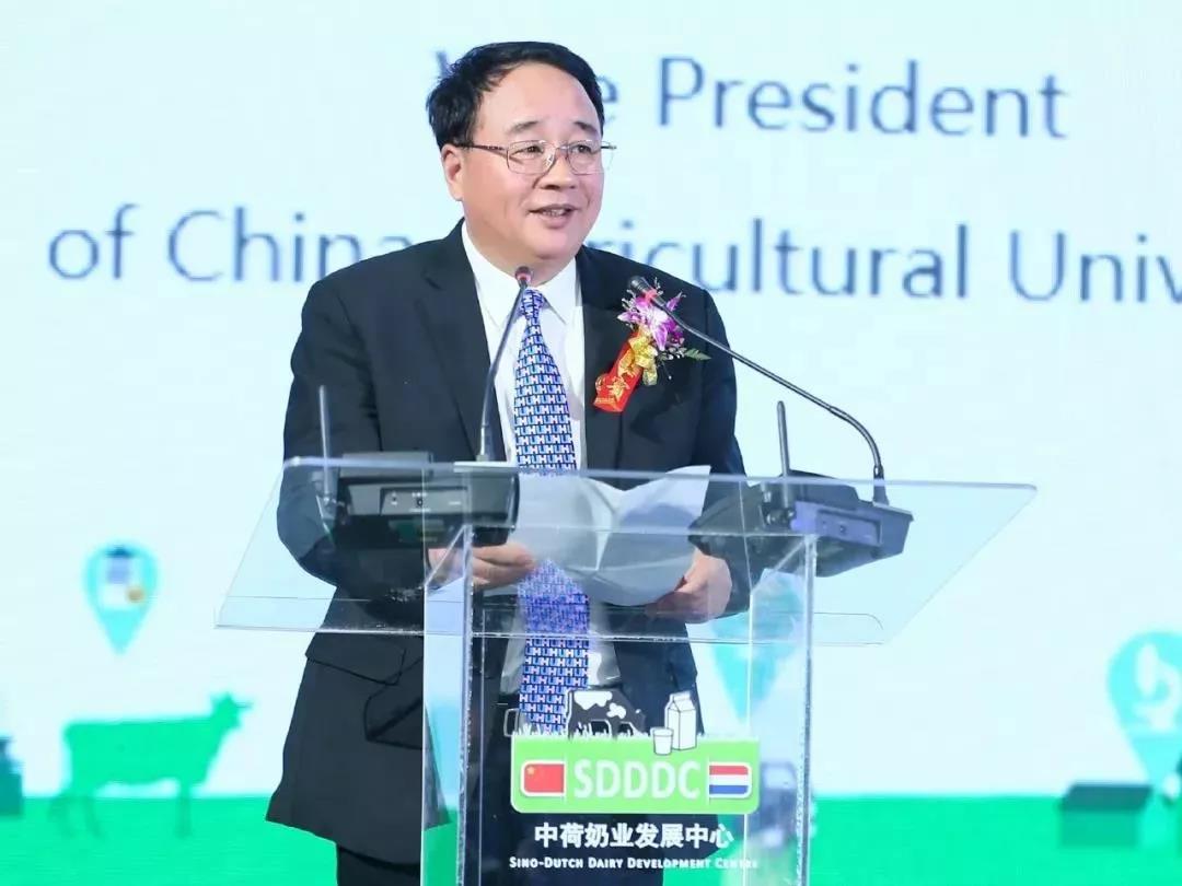 SDDDC走進(jìn)河南，看看花花牛的國(guó)際范兒！