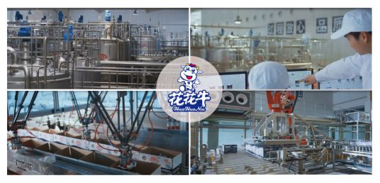 榮獲全國“質(zhì)量月”五項(xiàng)大獎(jiǎng)，花花牛真牛！