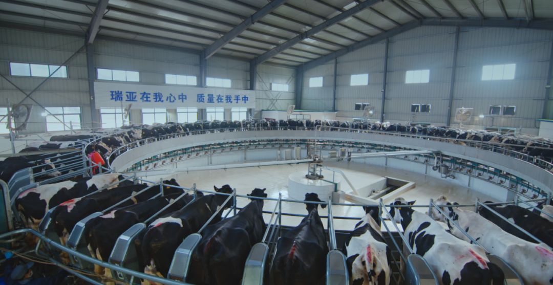 花花牛集團(tuán)旗下六家公司入選省農(nóng)業(yè)產(chǎn)業(yè)化重點龍頭企業(yè)名單