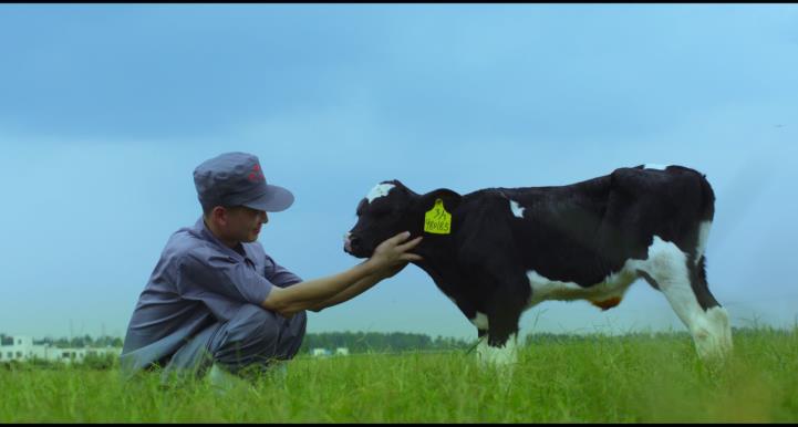 又雙叒叕獲獎(jiǎng)啦！花花牛榮獲“乳品質(zhì)量安全管理 優(yōu)秀企業(yè)”