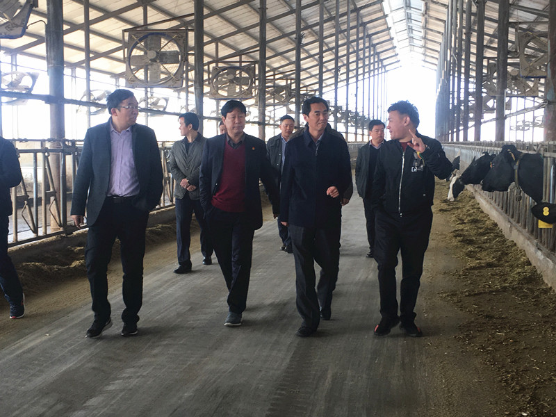 封丘縣縣長王獻(xiàn)臣一行蒞臨 花花牛集團(tuán)養(yǎng)殖、乳品事業(yè)部參觀調(diào)研
