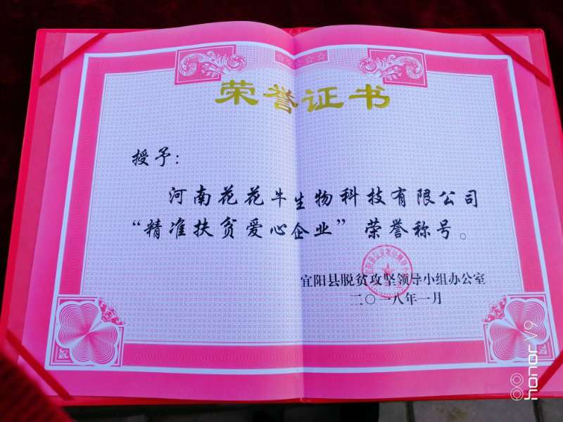 關(guān)愛成長 相伴未來——精準(zhǔn)扶貧“暖冬公益行”走進宜陽縣白楊鎮(zhèn) 關(guān)愛成長 相伴未來——精準(zhǔn)扶貧“暖冬公益行”走進宜陽縣白楊鎮(zhèn)