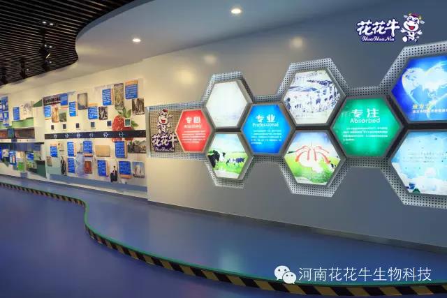 花花牛：務實、創(chuàng)新領(lǐng)潮市場 大企業(yè)體現(xiàn)大擔當